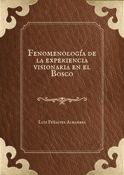 No hay una imagen disponible