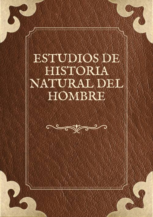 No hay una imagen disponible