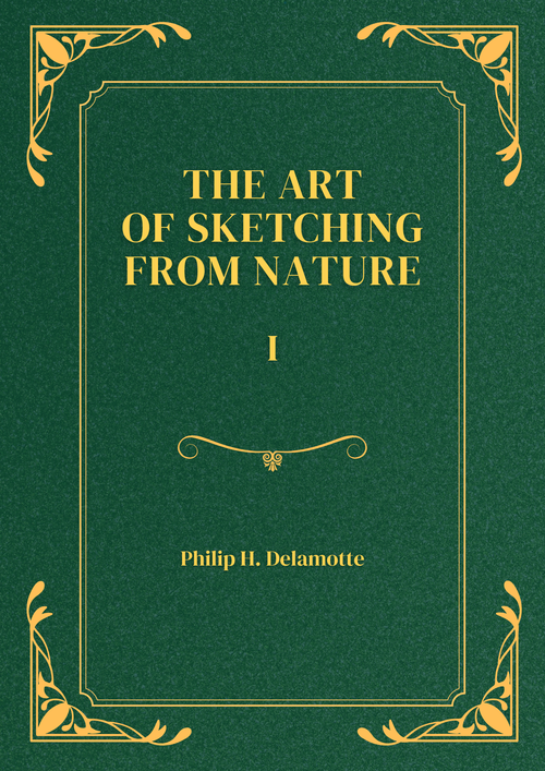 No hay una imagen disponible