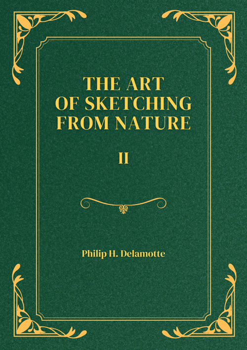 No hay una imagen disponible